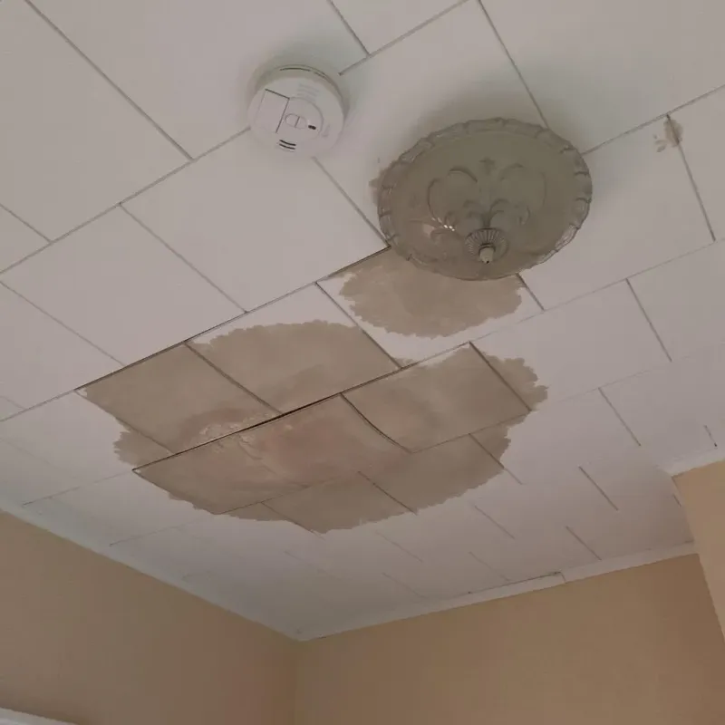 Ceiling Water Damage Repair in Epping, NH